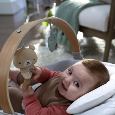 Bouncer Deluxe Cozy Spot Silla Vibradora Ingenuity Bouncer Deluxe Cozy Spot Silla Vibradora Ingenuity
