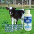 GELSUR M 200 ML GELSUR M 200 ML