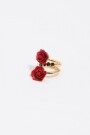 anillo Rojo