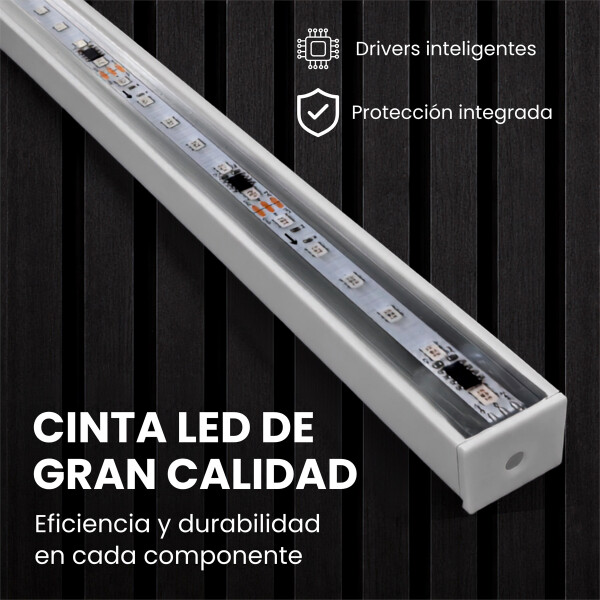 Luz LED Panel WPC RGB Varios Modos 250 cm RGB