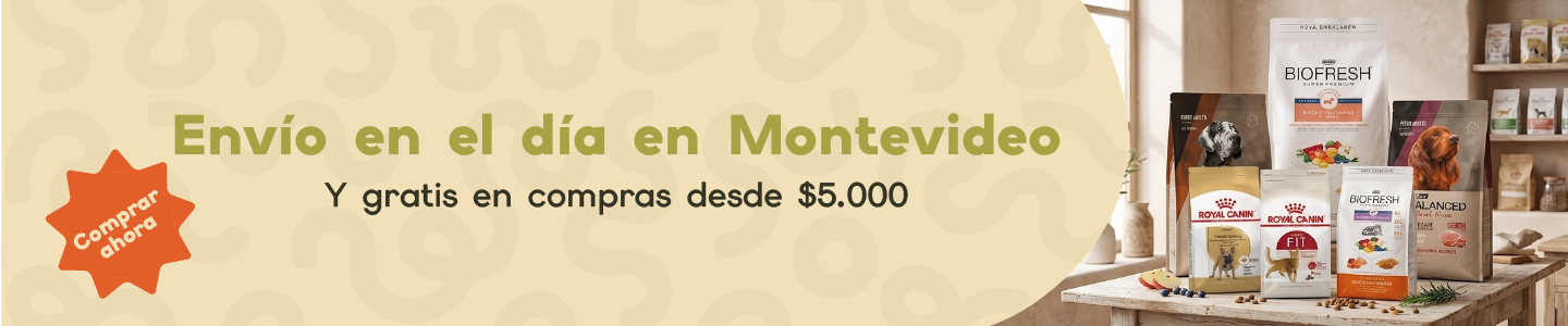 Envios Montevideo
