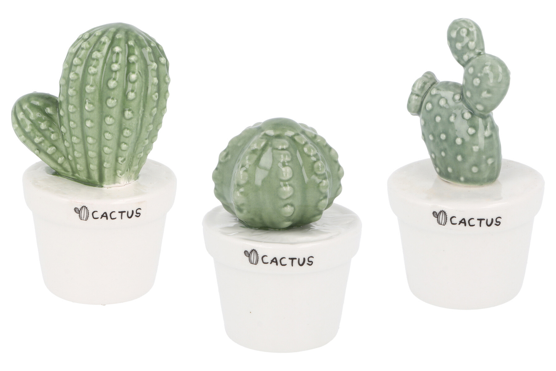 Cactus de Ceramica 