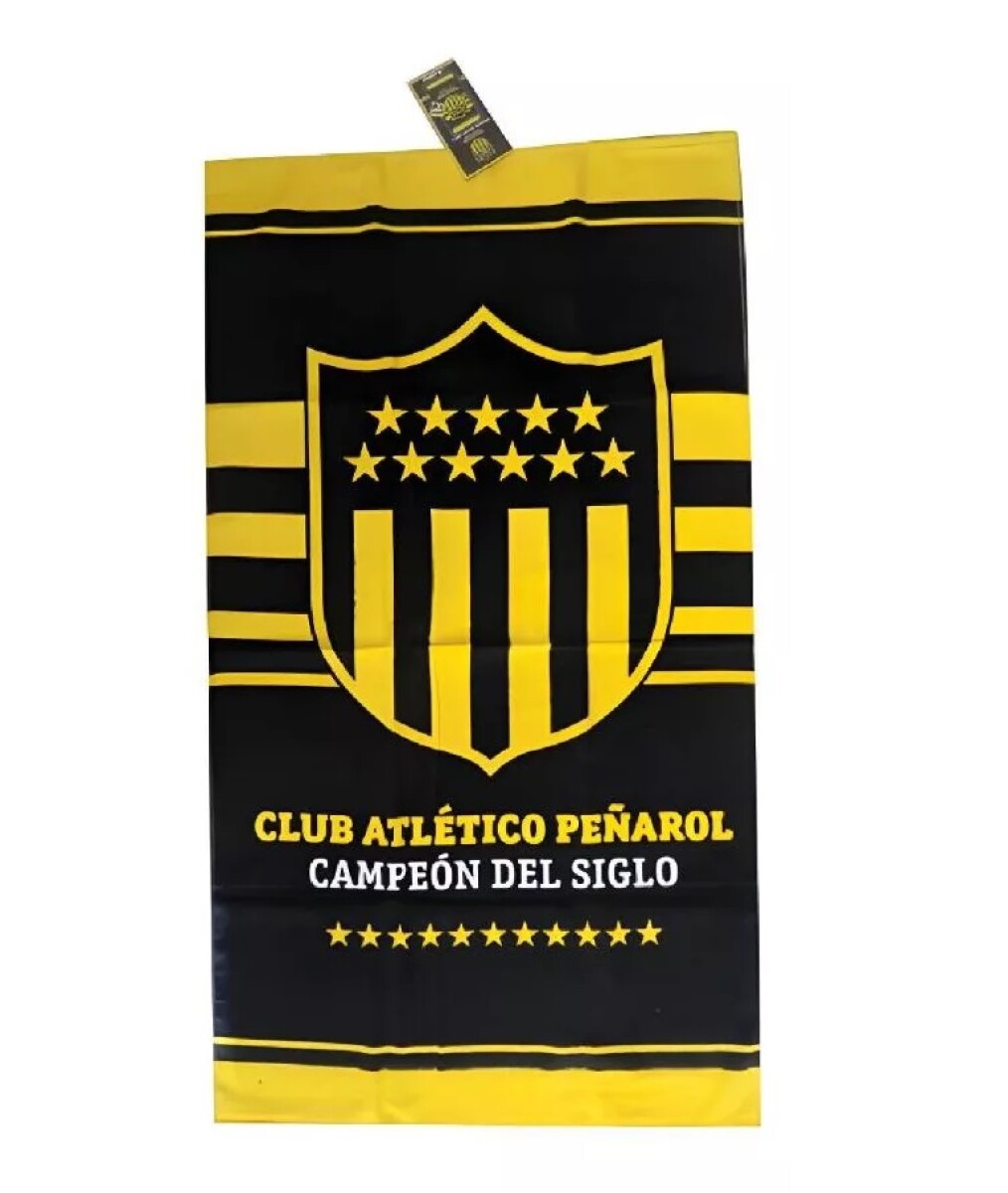 TOALLA PLAYERA VELOUR NIÑO Nacional - 469 