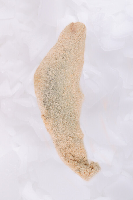 Milanesa de Pescadilla de Red 1Kg