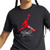 Remera Nike JUMPMAN FLIGHT HBR TEE de Hombre - AO0664-010 Negro