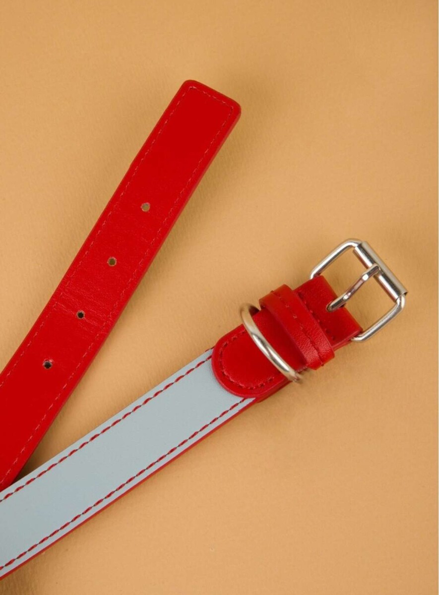 Collar perro pequeño  pu - Celeste 