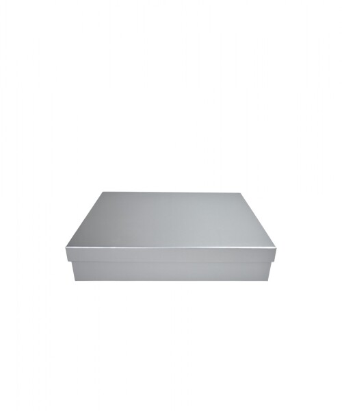 Caja Rigida 21,5 x 31,5 x 5,5 PLATA