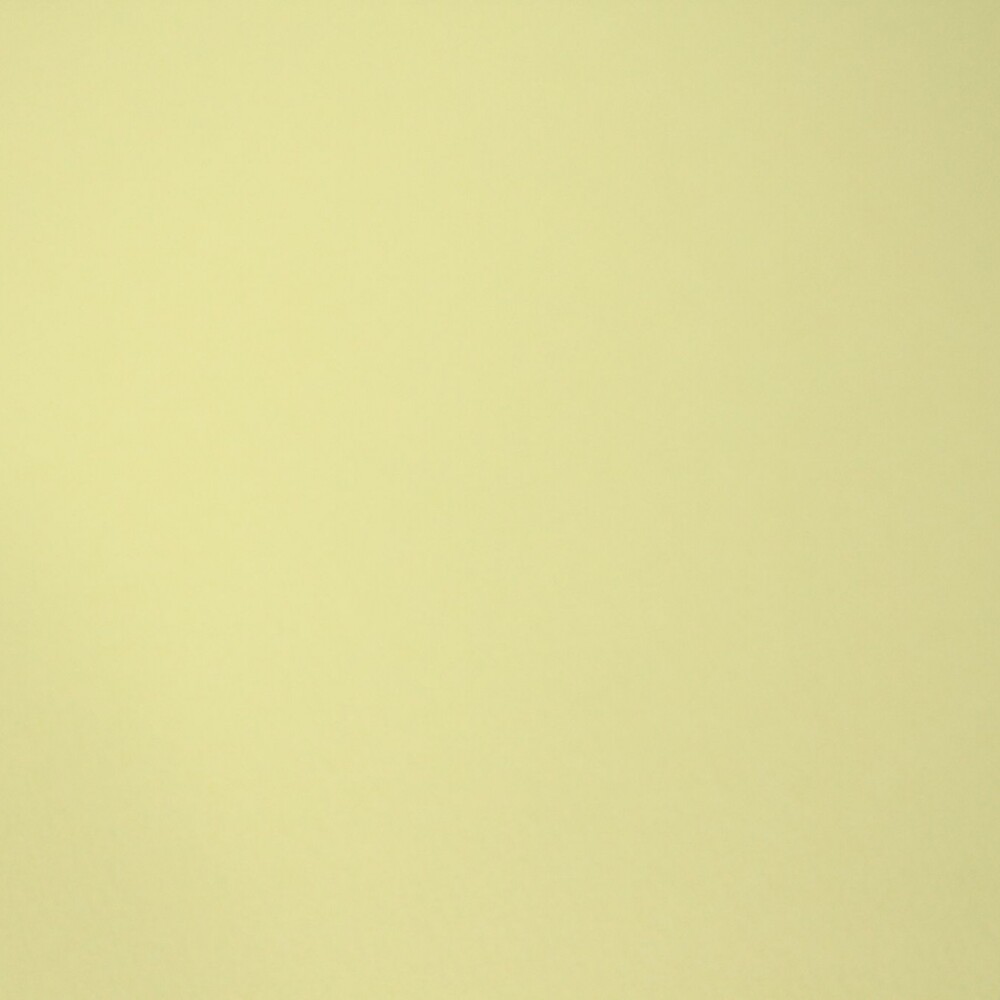 CARTULINA PRISMA 50X70 DE 220 GRAMOS COLOR CAMOSCIO Nº27