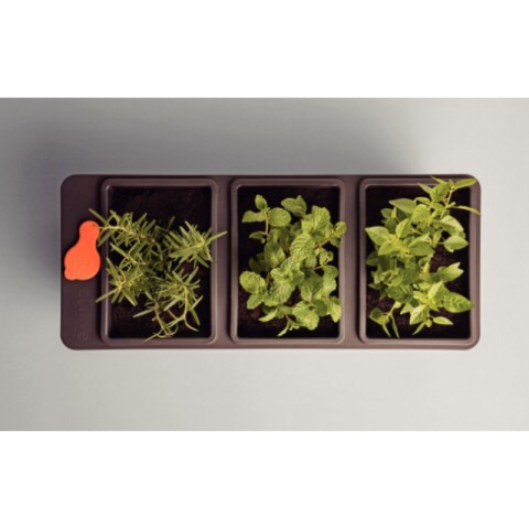 [OUTLET] Maceta Autoirrigable Triple Tramontina Marrón Sin Tapón ni Cuerdas [Incompleta sin caja] [OUTLET] Maceta Autoirrigable Triple Tramontina Marrón Sin Tapón ni Cuerdas [Incompleta sin caja]