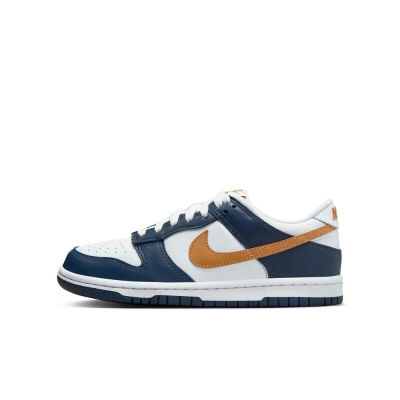 Zapatillas Nike Dunike Low de Niños Multicolor