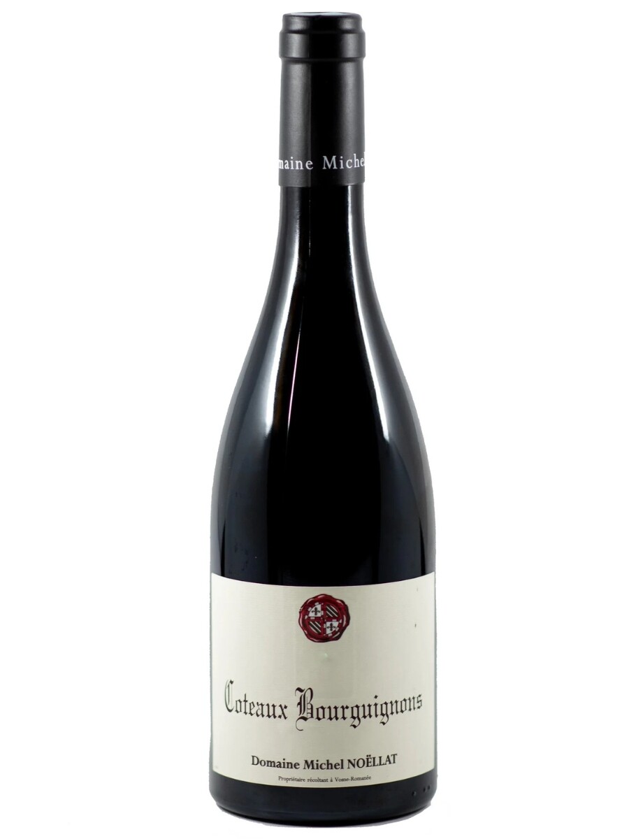 Coteaun Bourguignons Michel Noellat 