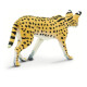 Safari - 100237 - Fauna Silvestre, Serval Safari - 100237 - Fauna Silvestre, Serval