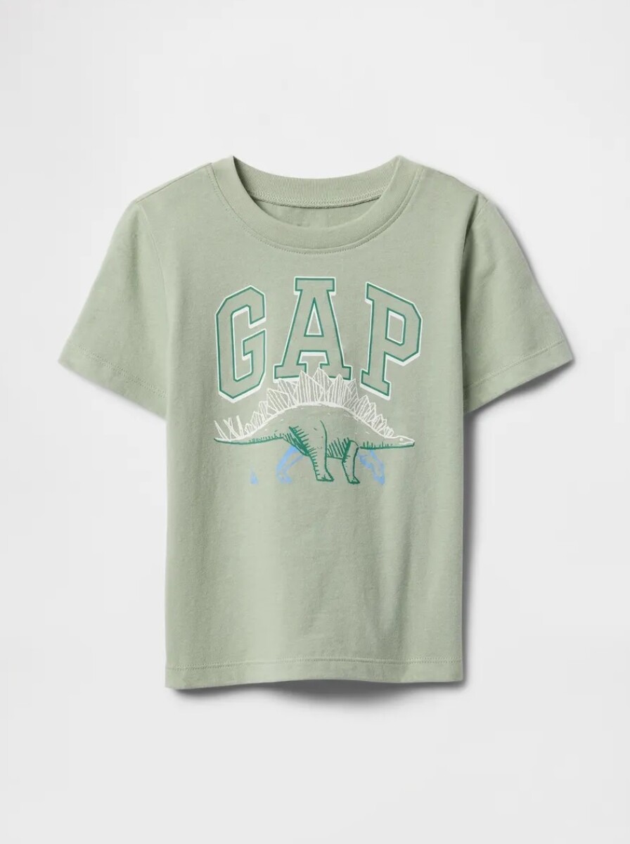 Remera Gráfico Toddler Niño - Desert Sage 