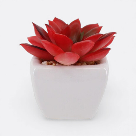 Maceta Mini Suculenta Modelo 1