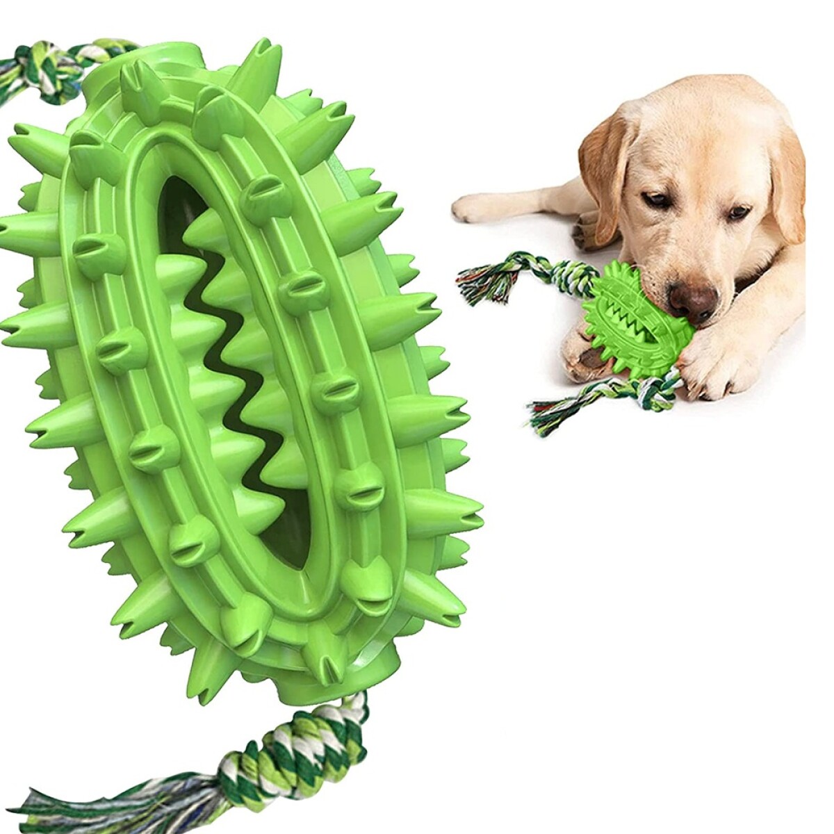 Juguete Dental Ovalado Mordible y Rellenable con Comida para Perros - Verde 