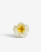 Broche Flores Broche Acrílico Flor - Combinacion Bicolor