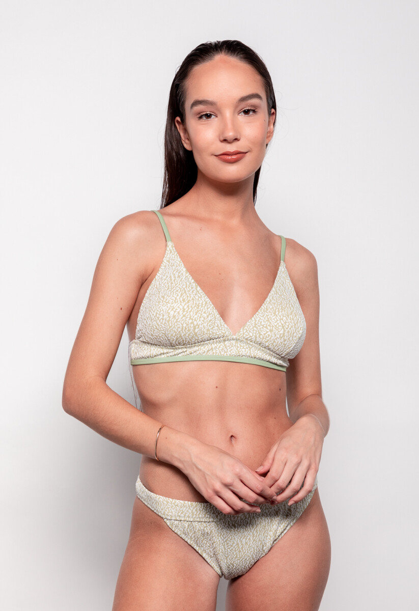 BOTTOM WAISTBAND JACQUARD - Verde Oliva 