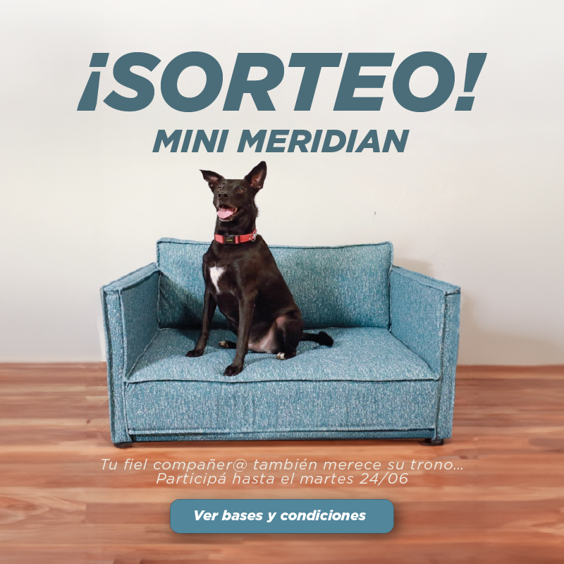 SORTEO "SOFÁ PARA TU PERRITO"
