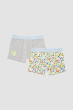 Pack x2 boxer marvel/disney Print 3
