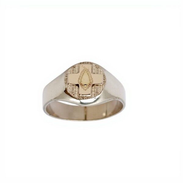 Anillo Profesión Auxiliar de Servicio -Plata y Oro -Sin Piedra-AP5028 sinpiedra