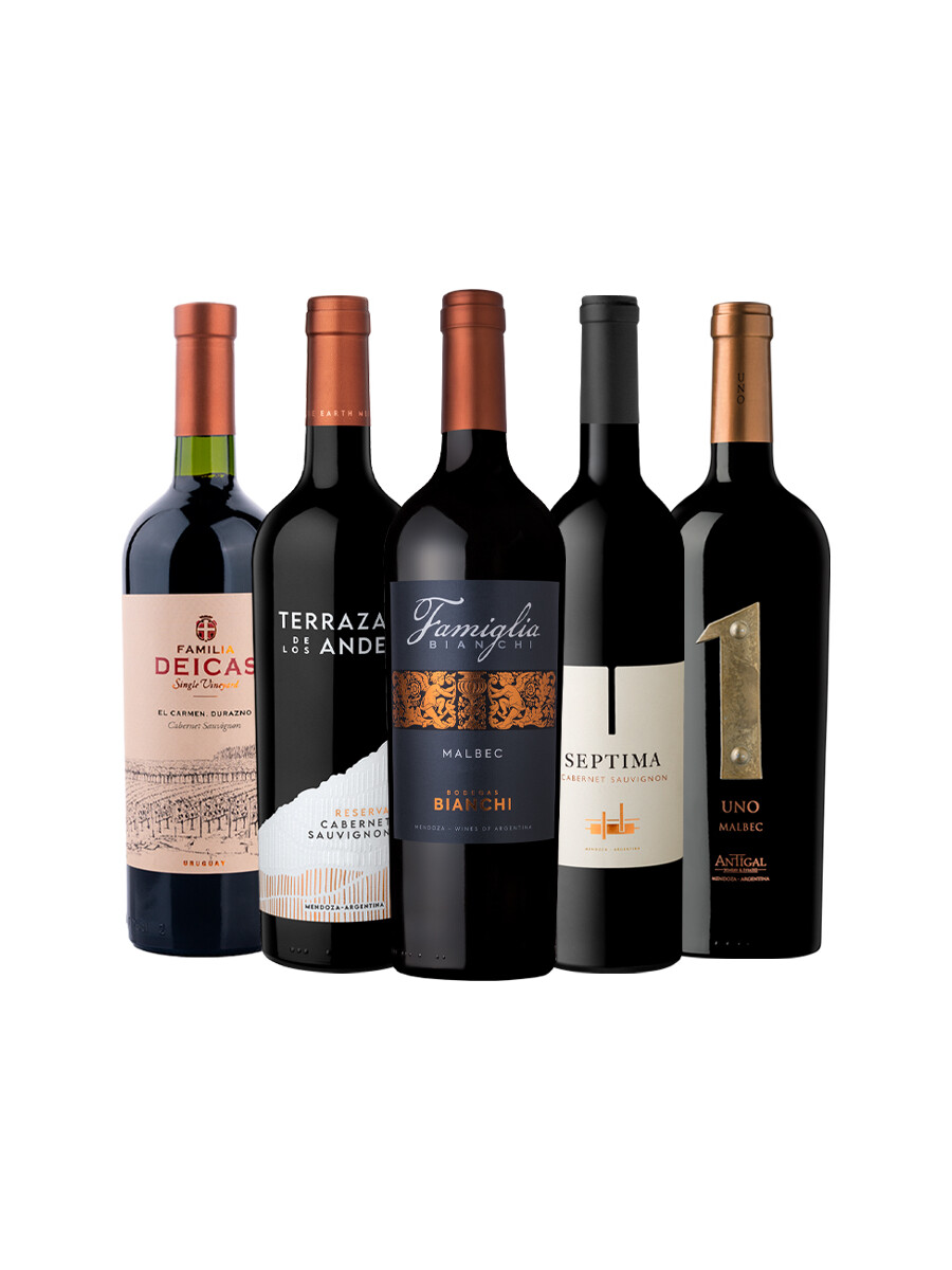 Pack Bacán Selección x5 vinos Elegidos del Mes Pack Bacán Selección x5 vinos Elegidos del Mes