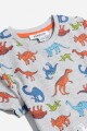 Remera dinosaurios GRIS
