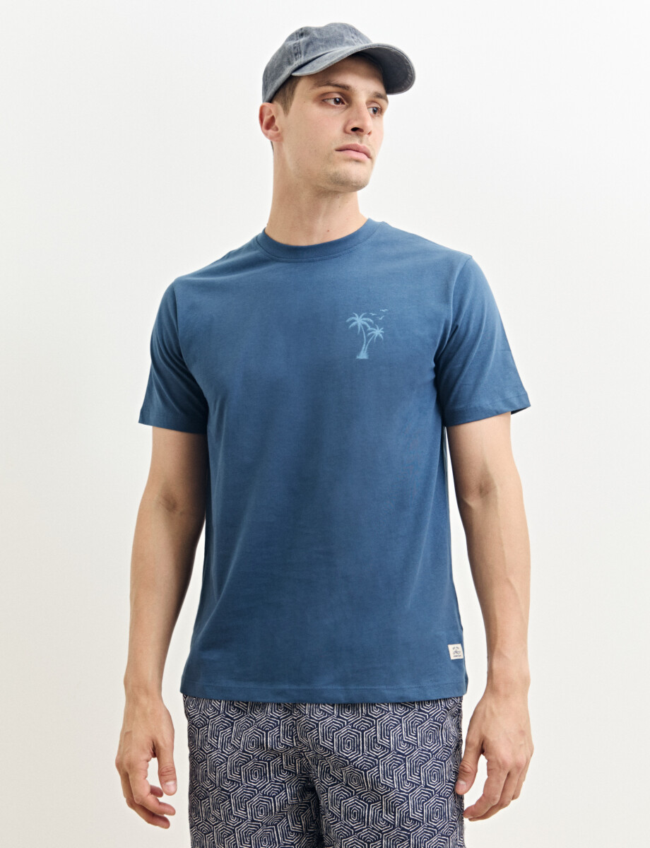 520312 T-SHIRT HARRY Azul Piedra