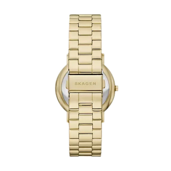 Reloj SKAGEN SIGNATURE Acero Dorado Esfera 40mm 0