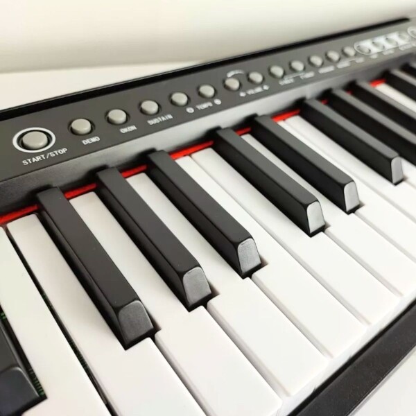 Organo Musical Teclado Piano Instrumento 61 Teclas Micrófono 200 Tonos Y Ritmos Con Microfono Imback Organo Musical Teclado Piano Instrumento 61 Teclas Micrófono 200 Tonos Y Ritmos Con Microfono Imback
