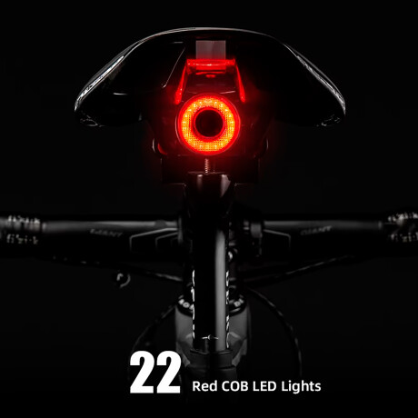 Luz Trasera Inteligente para Bicicleta Rockbros IP65 3 Modos 001