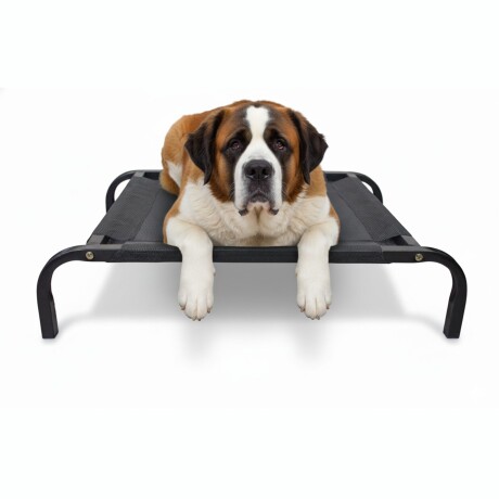 Cama para Mascota Tamaño L modelo Catrex Beepet Cama para Mascota Tamaño L modelo Catrex Beepet
