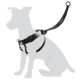 ARNÉS EASY WALKER L 45-65CM ARNÉS EASY WALKER L 45-65CM