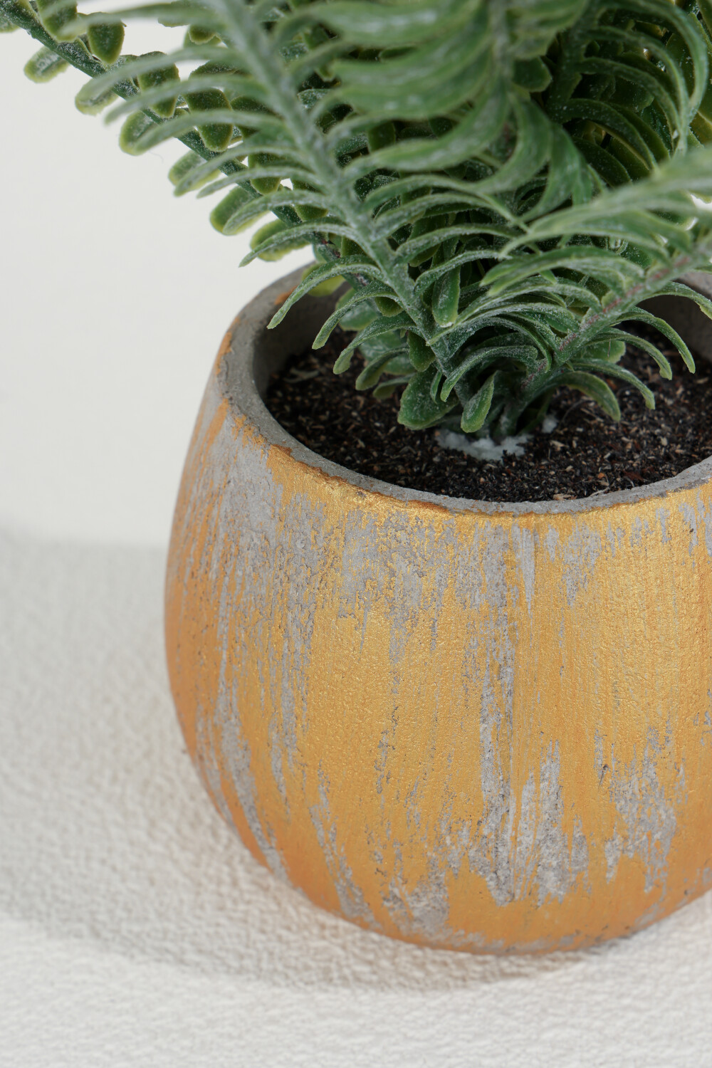 Planta Helecho Crespo 27cm Color Unico