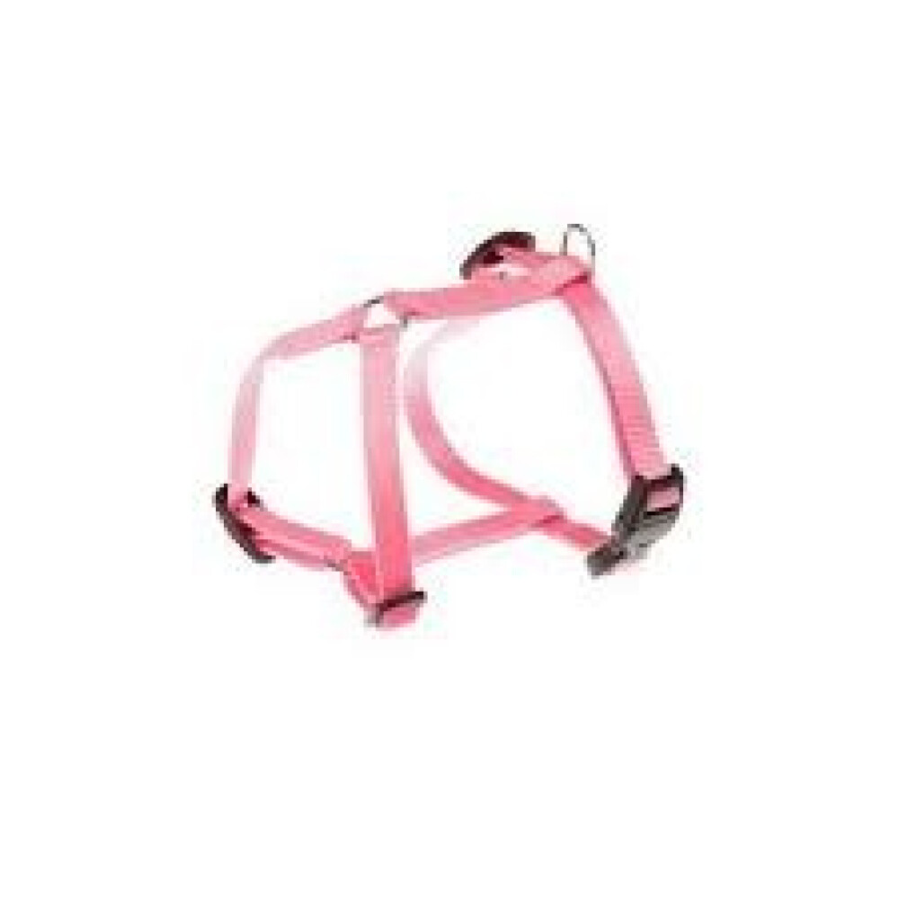 CHAMPION P SMALL ROSA PETT. CHAMPION P SMALL ROSA PETT.