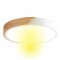 Luminaria Plafon Led Diám 30cm Metal Y Madera Luz cálida Blanco