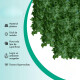 Enredadera Hojas Artificiales Por Rollo Decorativas P/jardín Verde