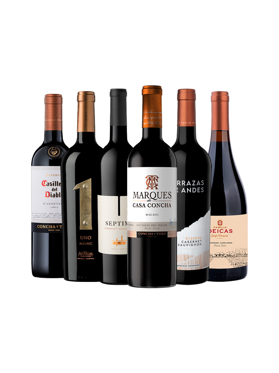 Pack Bacán Selección de Momentos Para Descubrir x6 vinos Pack Bacán Selección de Momentos Para Descubrir x6 vinos