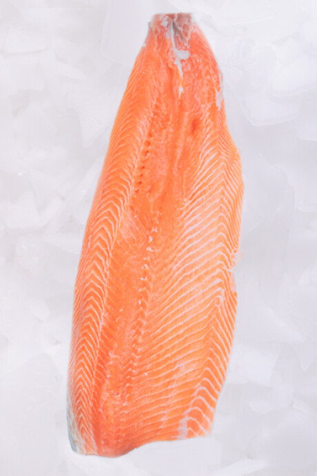 Filete de Salmón Chileno Fresco 500g Filete de Salmón Chileno Fresco 500g