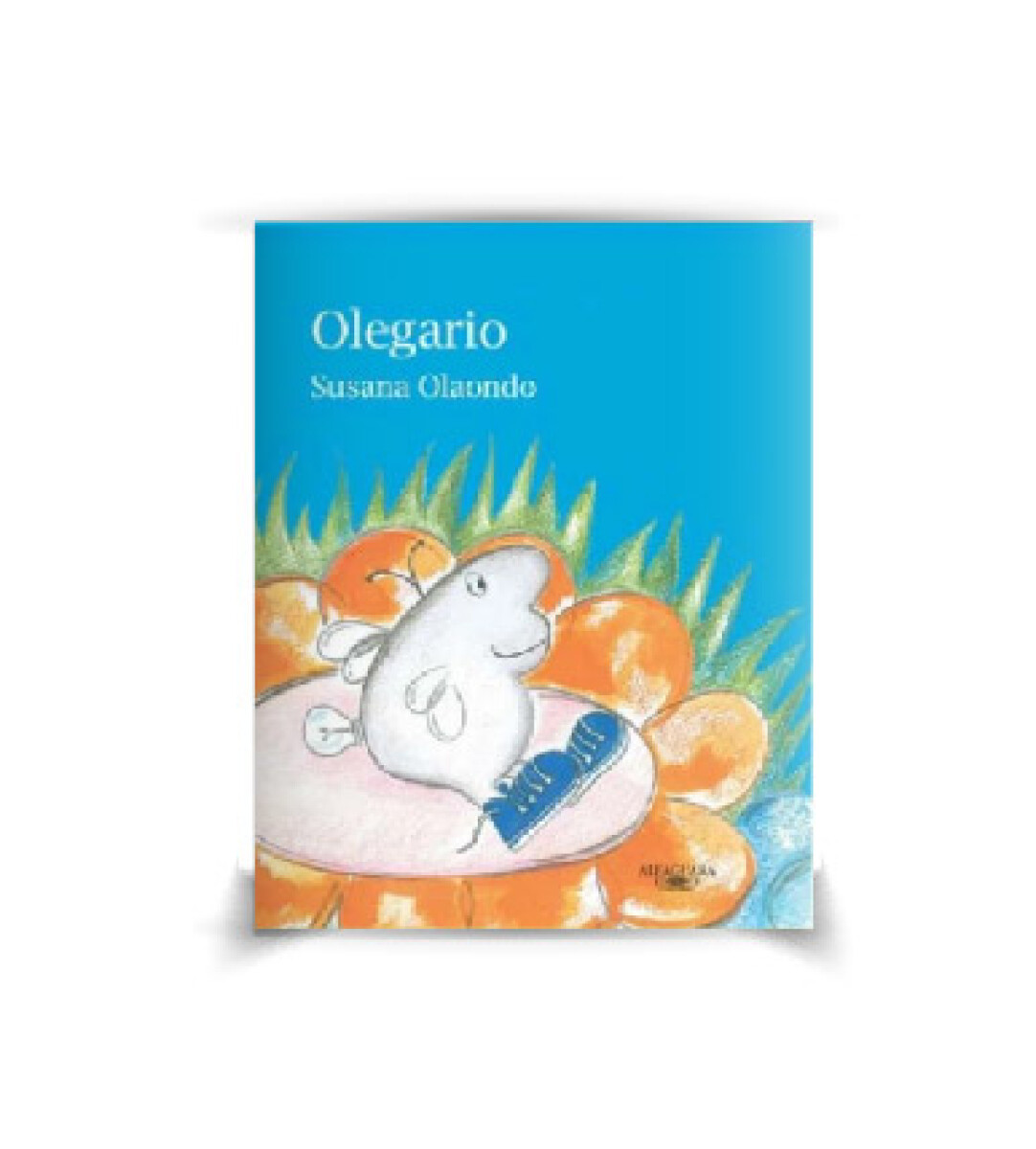 Libro Olegario Susana Olaondo - 001 