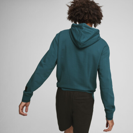 Classics Play Paris Hoodie TR 62676622 Verde