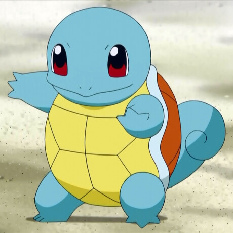 Squirtle • Pokémon - 504 Squirtle • Pokémon - 504