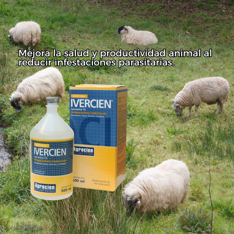 IVERCIEN 1% 500 ML IVERCIEN 1% 500 ML