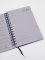 AGENDA 2027 AZUL.