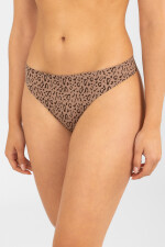 Colaless senecio Beige