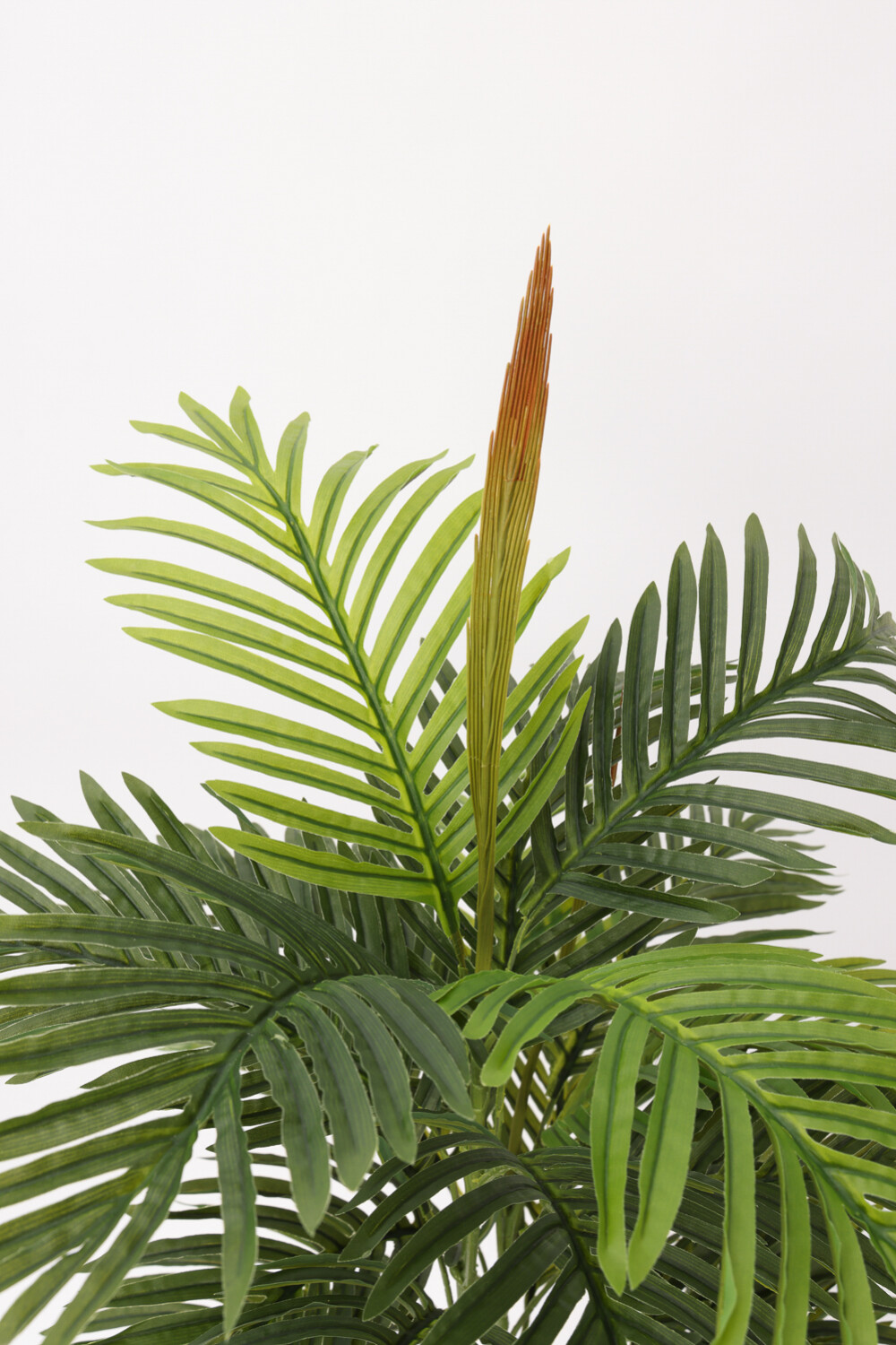 Planta Palmera Areca 85cm Color Unico