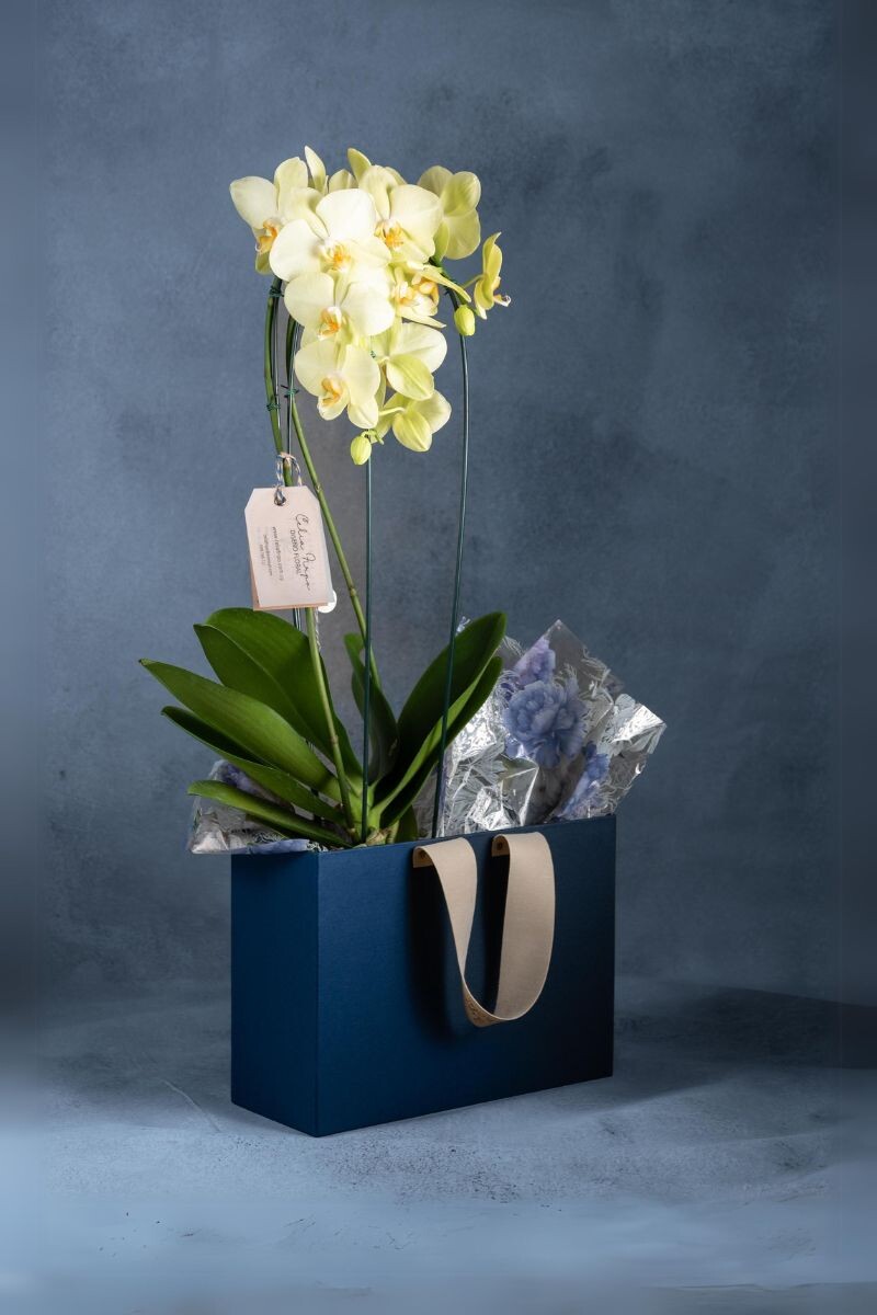 Orquideas en bolso viajero 