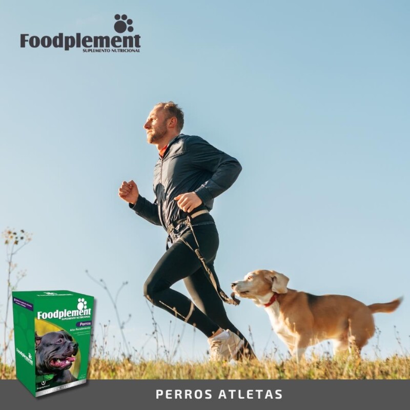 SUPLEMENTO NUTRICIONAL FOODPLEMENT ALTO RENDIMIENTO CAJA DE 250 GMS SUPLEMENTO NUTRICIONAL FOODPLEMENT ALTO RENDIMIENTO CAJA DE 250 GMS