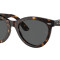 Rayban 2241 Havana