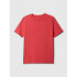 SS POCKET CREW WEATHERED RED