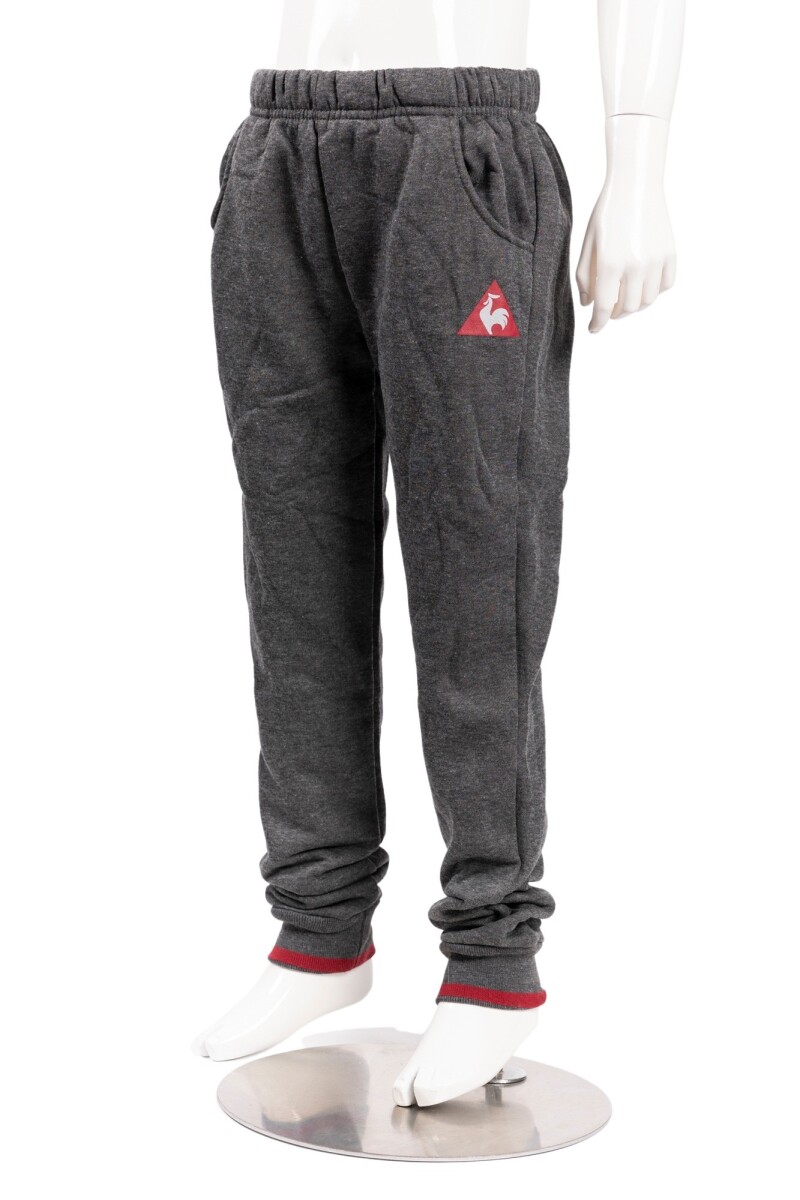 LENERGY PANT - GREY 